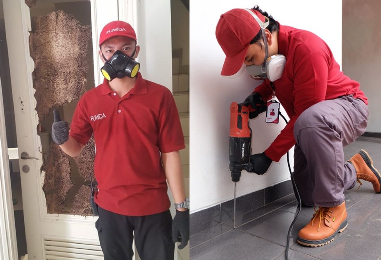3 Alasan Mengapa Harus Menggunakan Jasa Layanan Basmi Rayap!